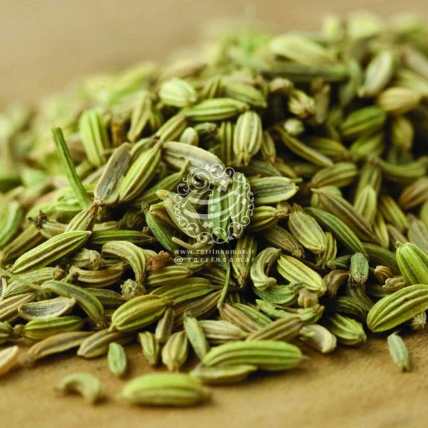 Fennel